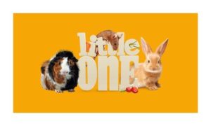 Logo Little One